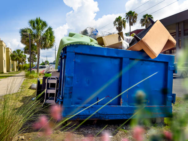 Best Furniture Removal  in Belle, MO